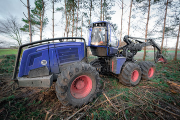 Fototapeta premium Forstwirtschaft - Holzvollernter in einem Waldstück