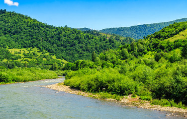 River among the forest in picturesque Carpathian mountains in summer