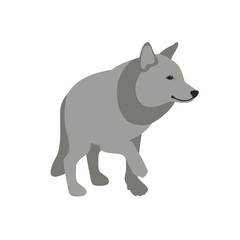wolf vector illustration style Flat