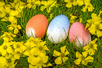 Easter eggs on grass and yellow flowers