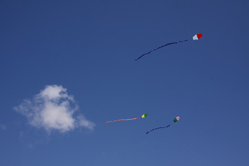 the kites
