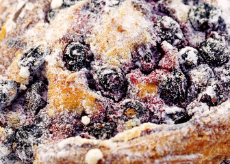 Fototapeta premium Delicious bun with currant