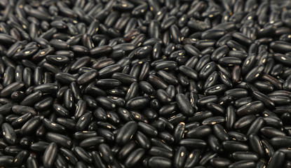 Black frigole kidney beans close up background