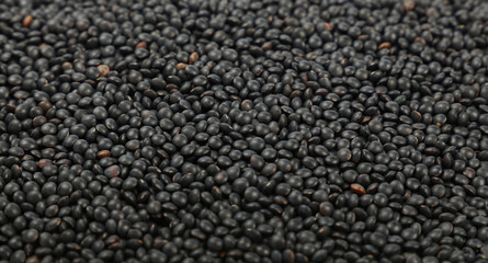 Black Beluga lentil lens close up background