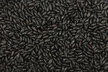 Black frigole kidney beans close up background