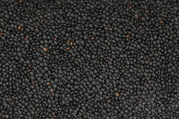Black Beluga lentil lens close up background