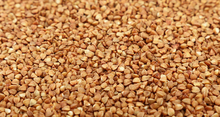 Dried brown buckwheat groats close up background