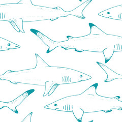 Obraz premium Seamless pattern with vector shark hand drawn illustration with wild sea animal. Sea life sketch with predator dangerous fish. Coloring book illustration