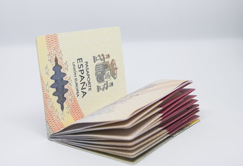 pasaporte fondo blanco