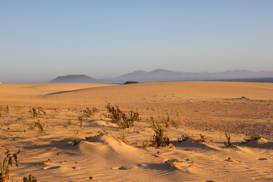 Slope hill sand on yellow dunes on blue sky background. Sunrise, morning. Sustainable ecosystem. Canary island, Fuerteventura