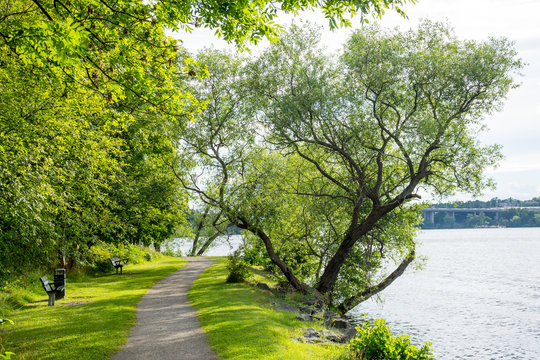 L&aring;ngholmen &auml;r som en stor park med sina stora h&auml;rliga ekar, amfiteater och natursk&ouml;na stigar runt hela &ouml;n (25 av 35)
