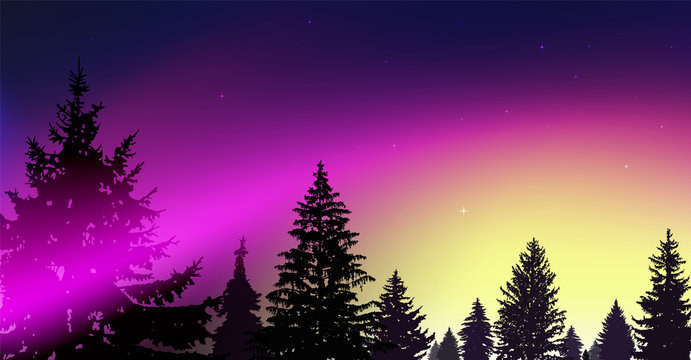 Silhouette of coniferous trees on the background of colorful sky.  Night. Northern lights. Pink and yellow tones.