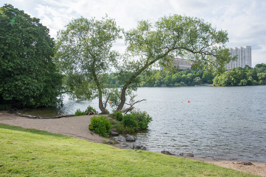 Badstrand p&aring; L&aring;ngholmen i Stockholm med sin lummiga och fina natur  (4 av 5)