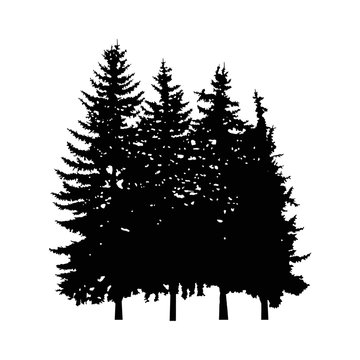 Silhouette of four pine trees. Can be used as poster, badge, emblem, banner, icon, decor...