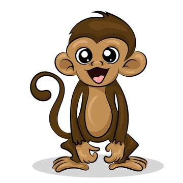 crazy funny cute young little monkey isolated