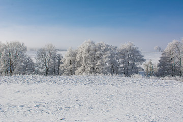 Verschneite Landschaft mit blauem Himmel