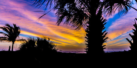 Fototapeta na wymiar Sunrise on the Beach in a Caribbean Paradise with Silhouette Palm Trees
