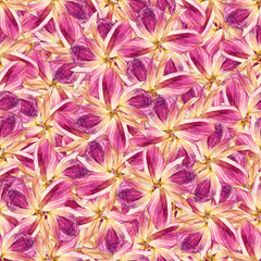 seamless background with multicolored flower petal