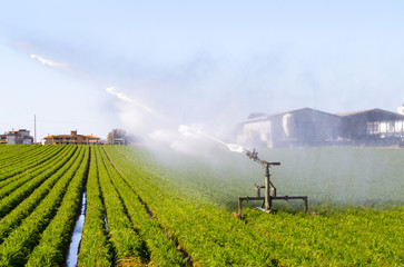 agricoltura, impianto di irrigazione
