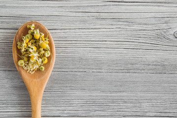 Dried chamomile herbal tea in the wooden spoon in the kitchen. Healthy drink.