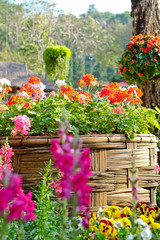 Lush landscaped garden with flower and colorful plant