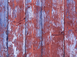 Fototapeta na wymiar Weathered color wooden fence texture.
