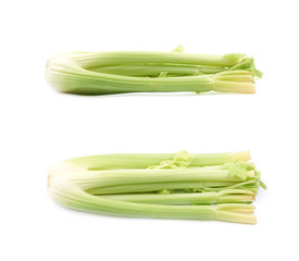 Celery vegetable isolated