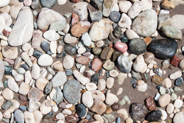 Sea stone close up.