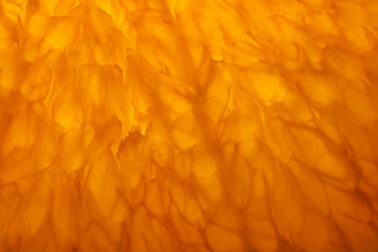 Orange Makro