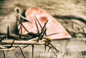 Crown of thorns