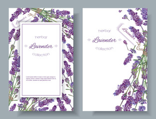 Lavender flowers banners © purplebird