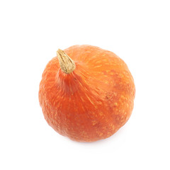 Ripe orange pumpkin isolated