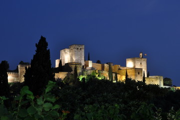 Fototapeta na wymiar Vista nocturna de la alhambra
