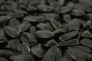 Surface coated with the sunflower seeds