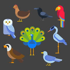 Birds vector set illustration isolated