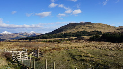 Naklejka premium Highlands in Schottland bei Oban