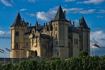 Fototapeta na wymiar Château de Saumur 01