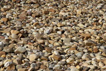 Stone soil. Garden landscape.