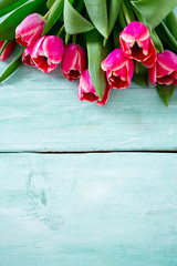 Fototapeta na wymiar pink tulips on turquoise wooden surface