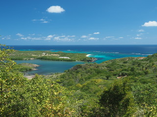 Obraz premium Cap macre Martinique 