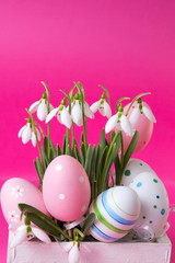 Fresh snowdrop flowers and Easter eggs