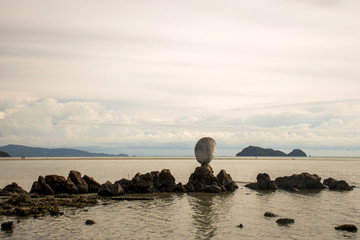 Big shell on rocks near blue ocean with beach background Koh Phangan island Thailand