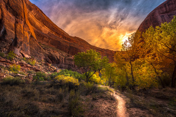 Fototapeta premium Sunset over Coyote Gulch Escalante Fall Colors