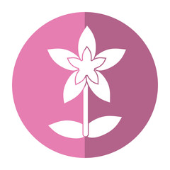 flower tropical exotic shadow vector illustration eps 10