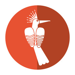 hoopoe bird exotic shadow vector illustration eps 10 © Jemastock