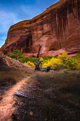 Coyote Gulch Hiking Trail Fall Colors