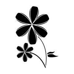 plumeria flower decoration pictogram vector illustration eps 10