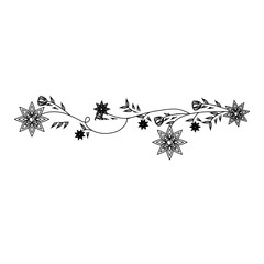 monochrome contour with creeper with violet flowers floral design vector illustration