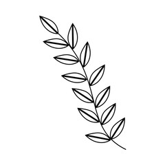 monochrome silhouette with oval leaves with ramifications vector illustration