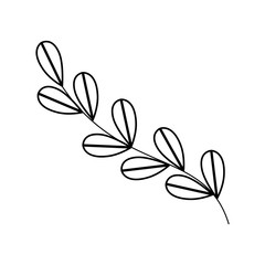 monochrome contour with oval leaves with ramifications vector illustration